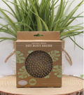Round Exfoliating Brush